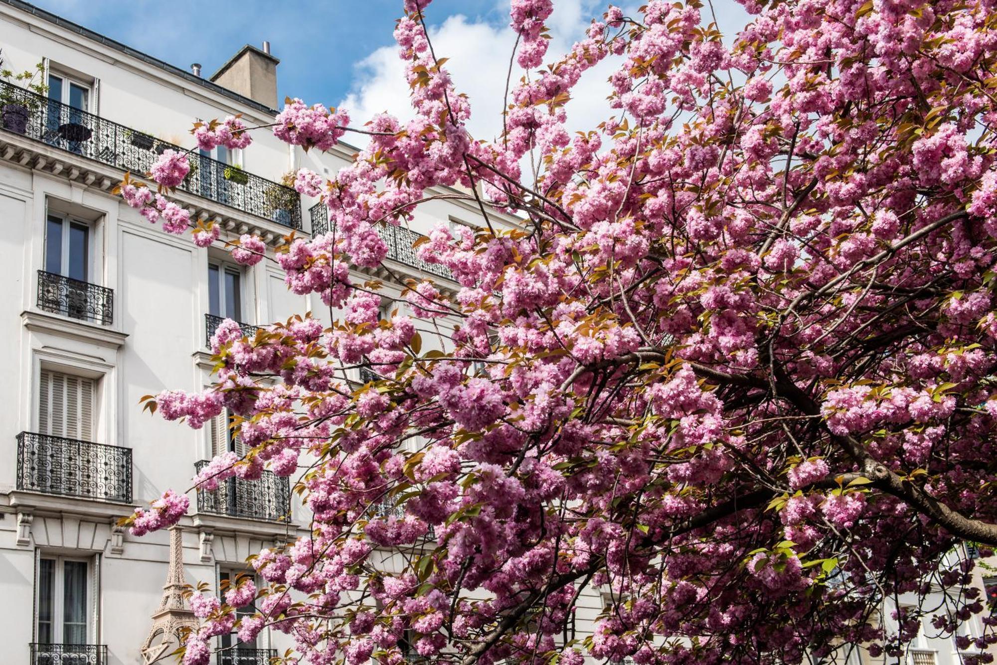 Aparthotel Yays Paris Issy Exteriér fotografie